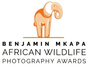 Mkapa Awards photo exhibit at Four Arts showcases wildlife of Africa